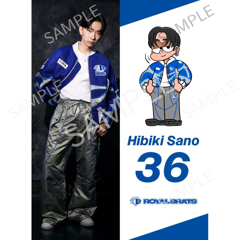 aRB Hibiki Sano A
